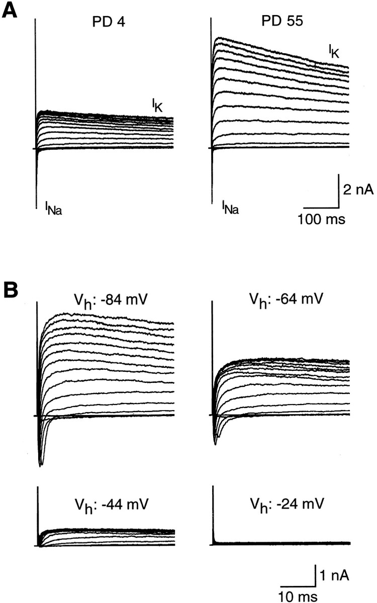 Fig. 9.