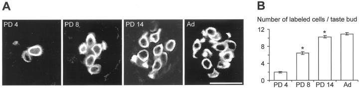 Fig. 12.