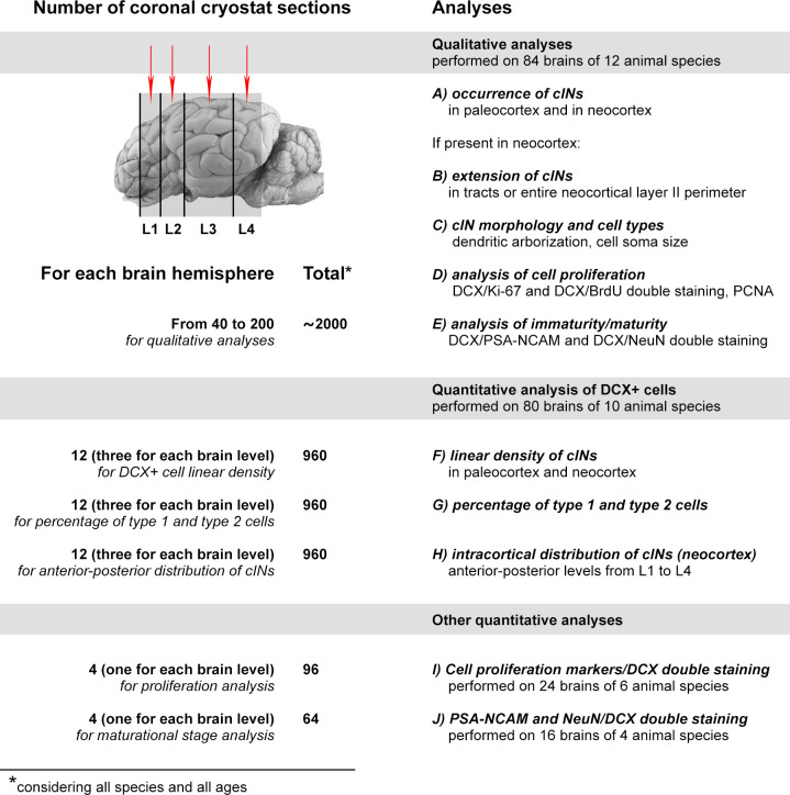 Figure 1—figure supplement 1.