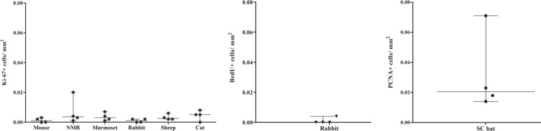 Figure 3—figure supplement 1.