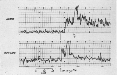 Fig. 13