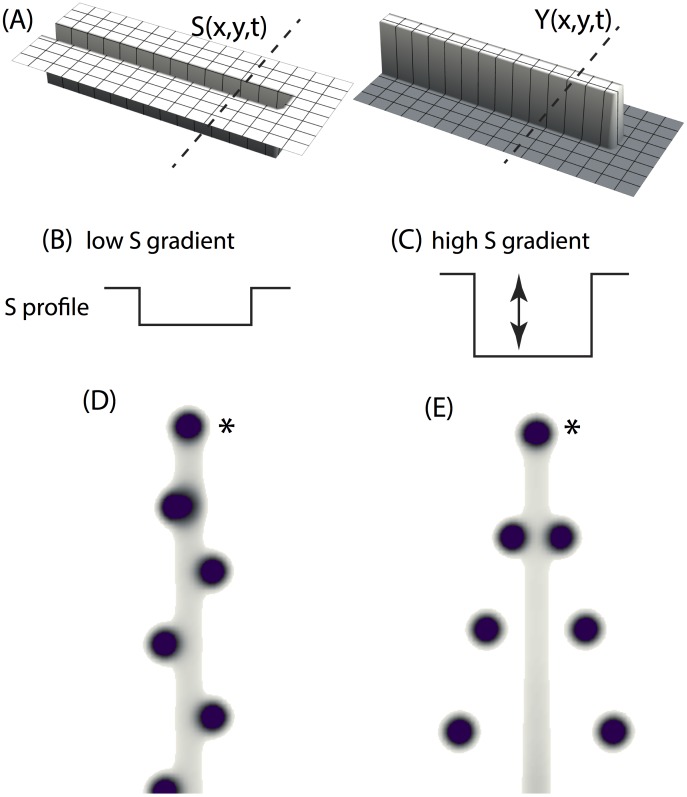 Figure 9