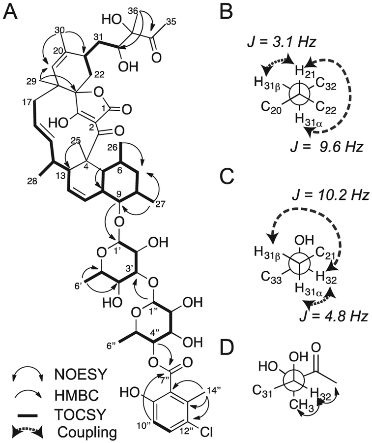 Fig. 3.