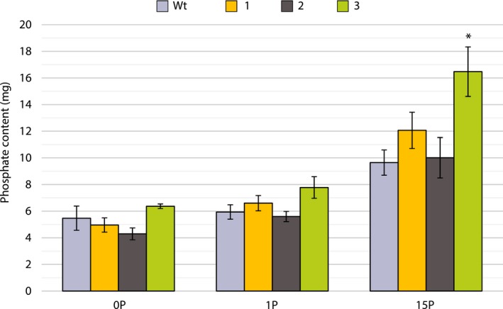 Figure 5