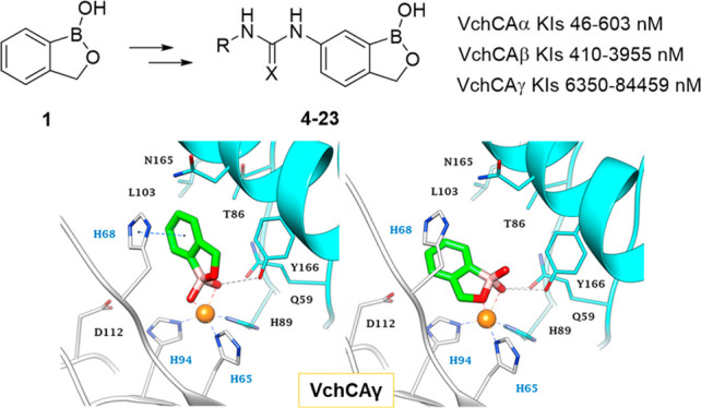 graphic file with name ml0c00403_0007.jpg