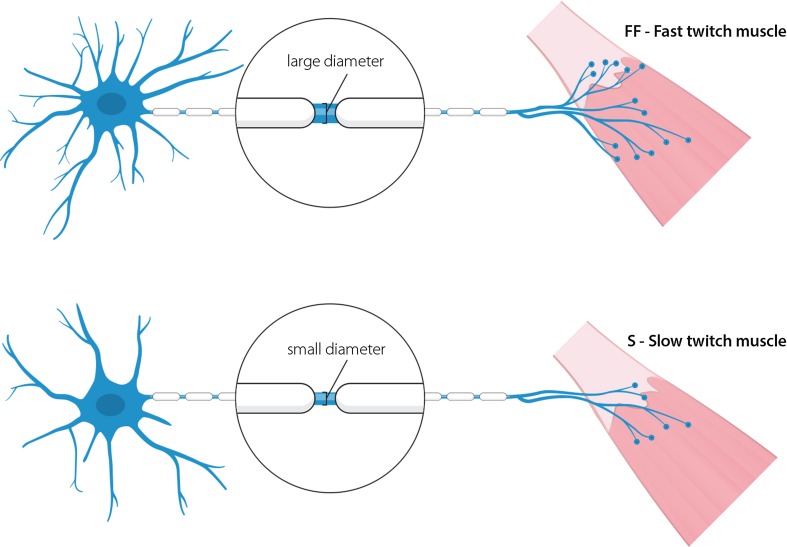 Fig. 4