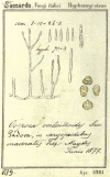 Fig. 12