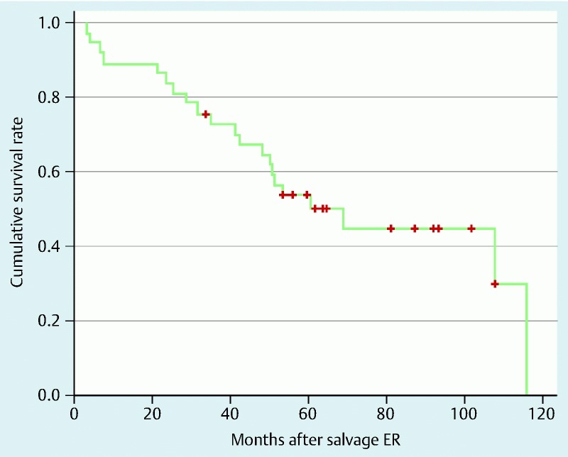 Fig. 4