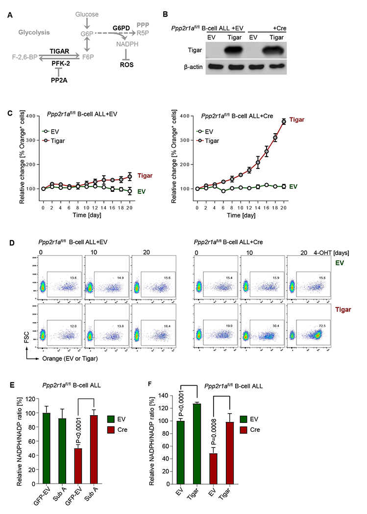 Figure 4: