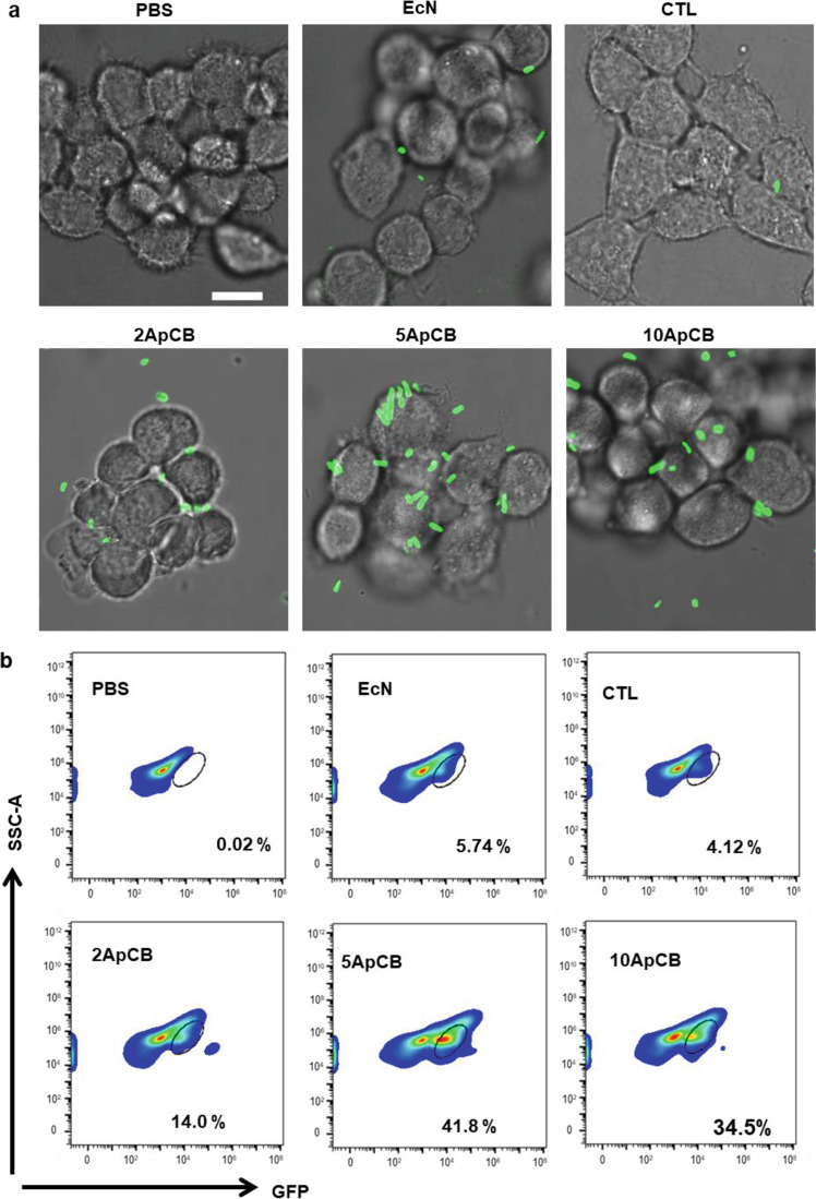 Fig. 2