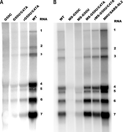 FIG. 8.