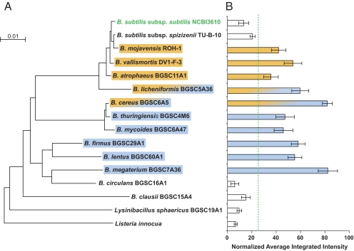 Fig. 7.