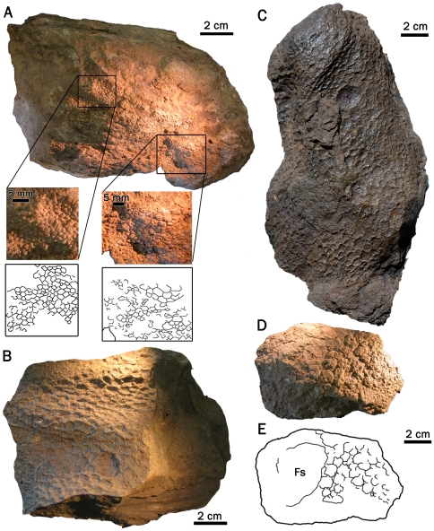 Figure 11