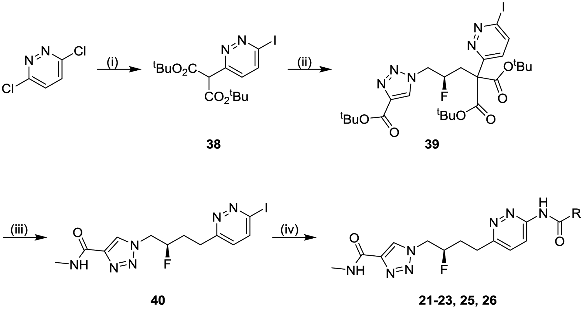 Scheme 4.