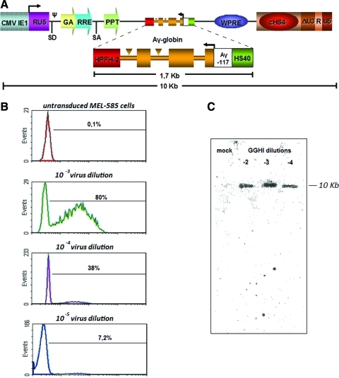 FIG. 2.