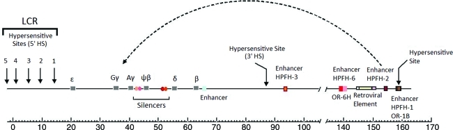 FIG. 1.