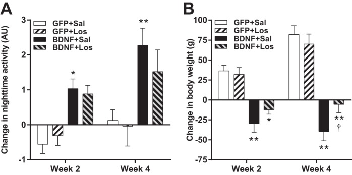 Fig. 8.