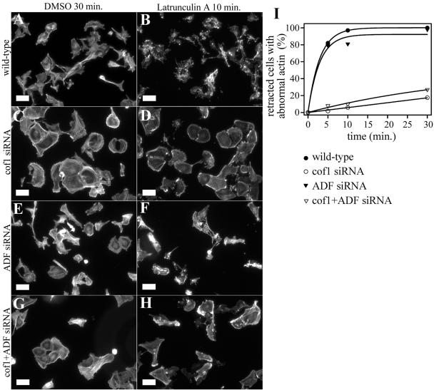 Figure 10.