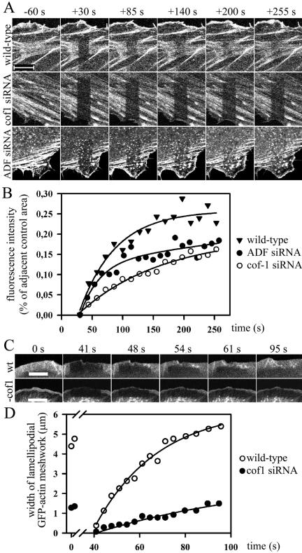 Figure 9.