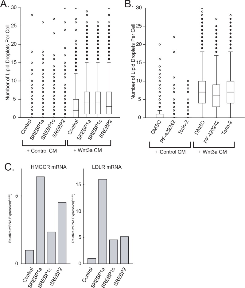 Figure 2—figure supplement 4.