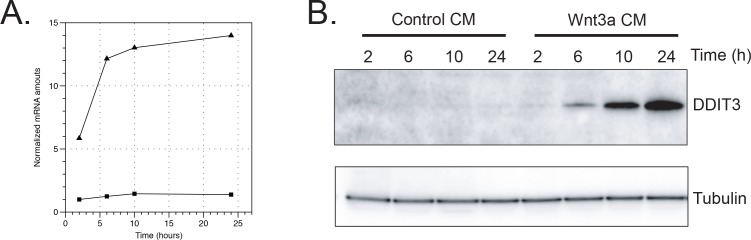 Figure 2—figure supplement 3.