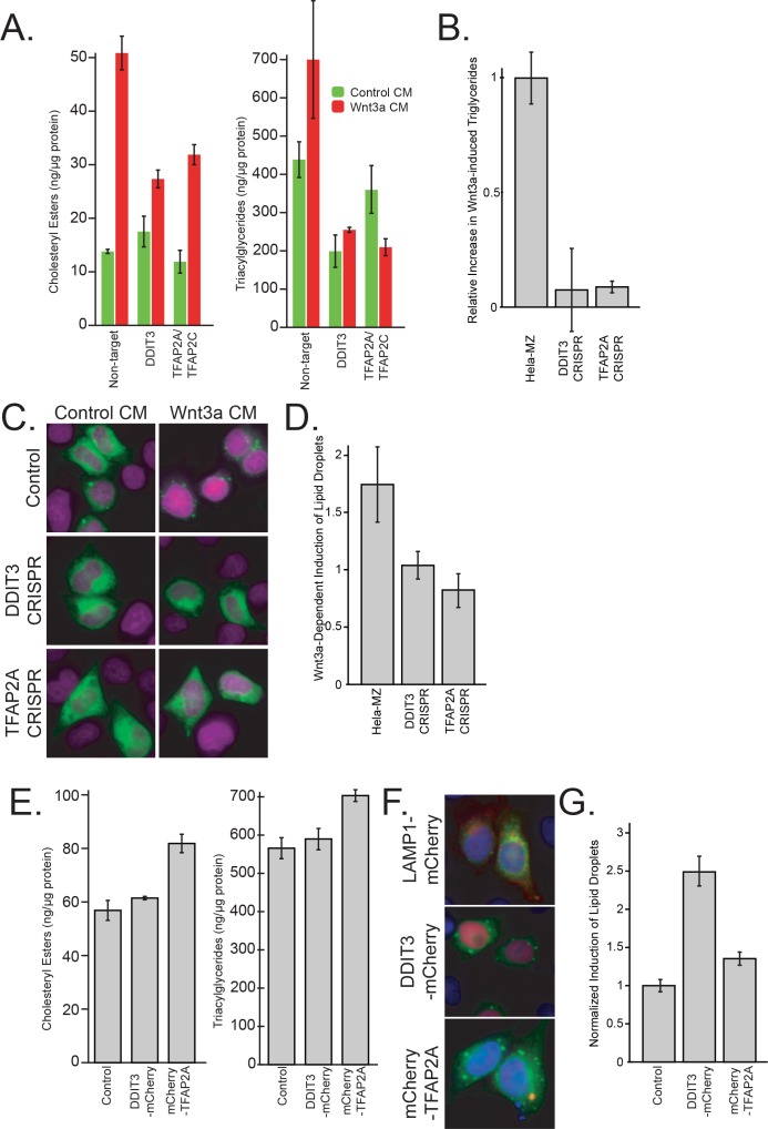 Figure 3—figure supplement 1.