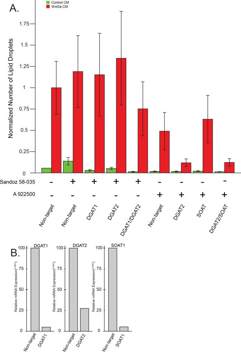 Figure 1—figure supplement 1.