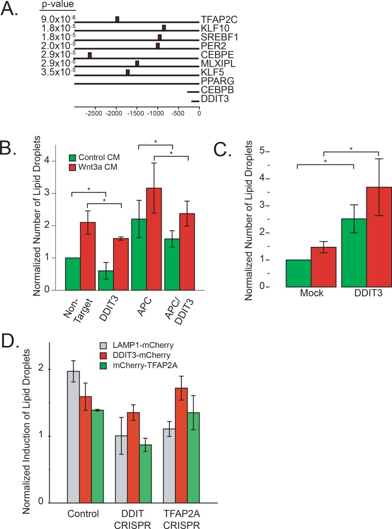 Figure 4—figure supplement 1.