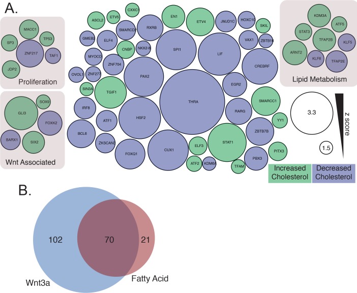 Figure 2—figure supplement 1.