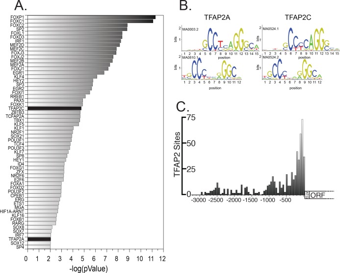 Figure 2—figure supplement 2.