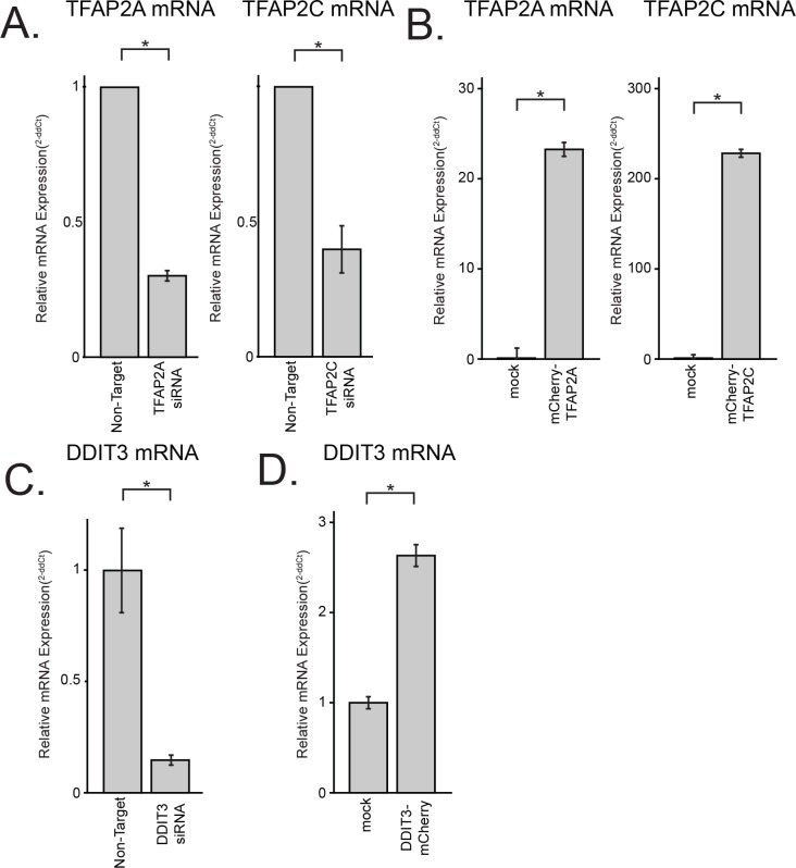 Figure 3—figure supplement 2.