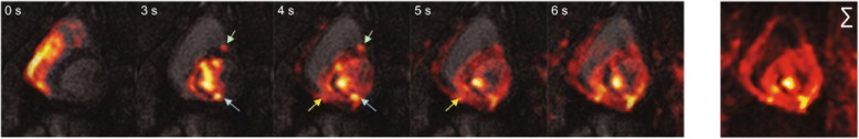 Fig. 7