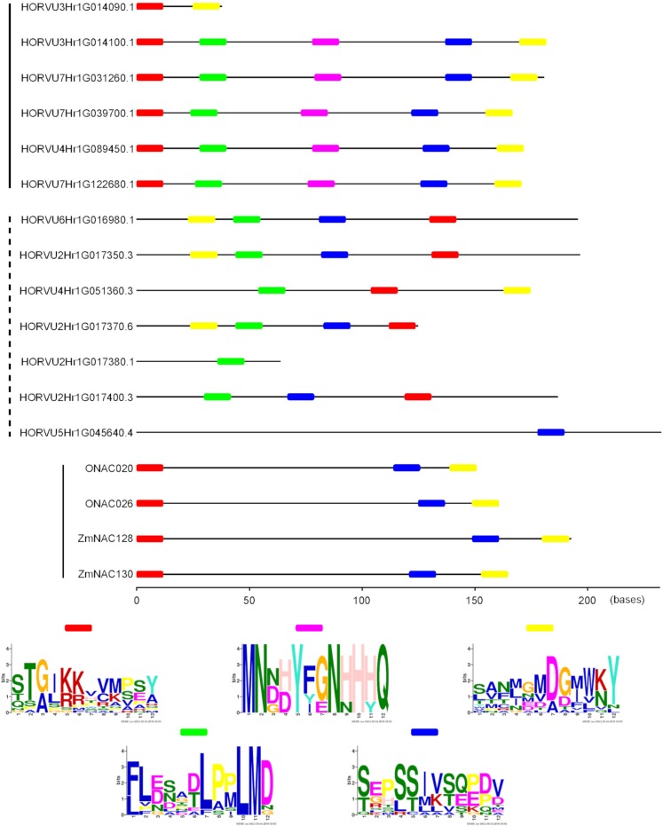 Fig 6