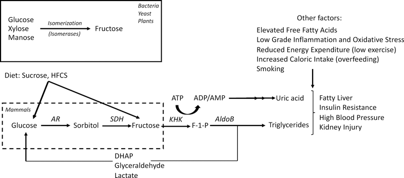 Figure 1: