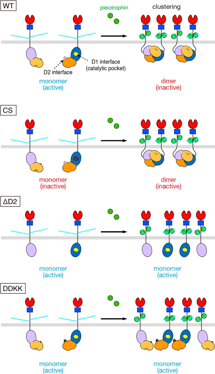 Figure 5.