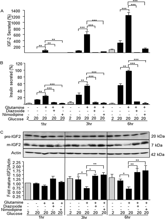 FIGURE 7.