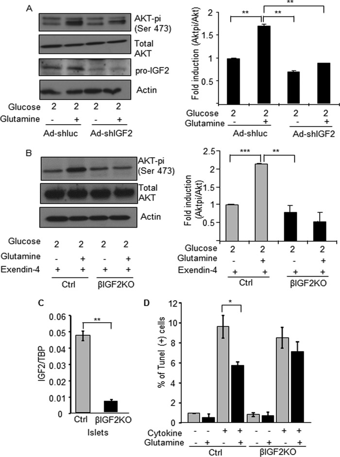 FIGURE 10.