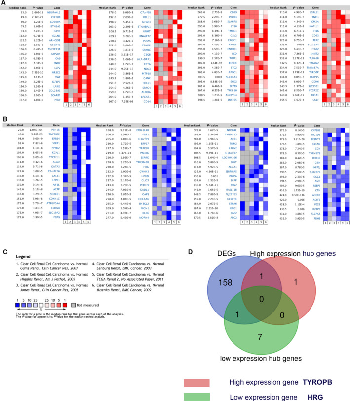 TYROBP is a potential prognostic biomarker of clear cell renal cell ...