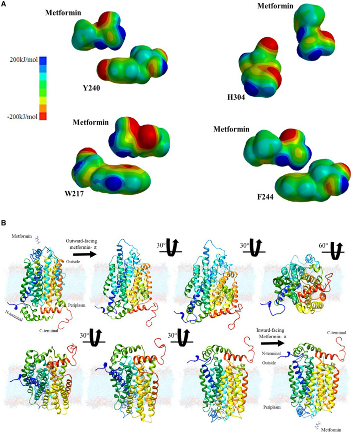 FIGURE 3