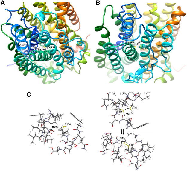 FIGURE 6