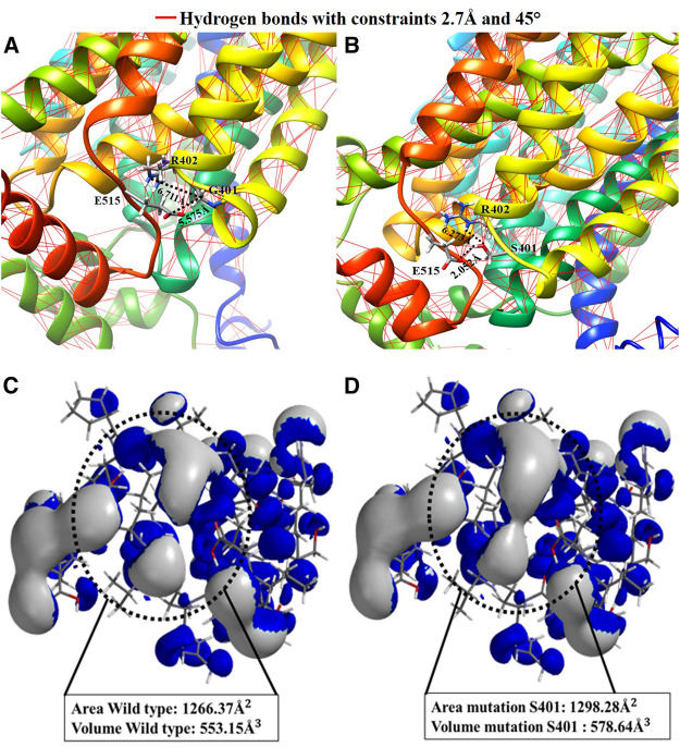 FIGURE 4