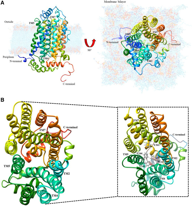 FIGURE 1