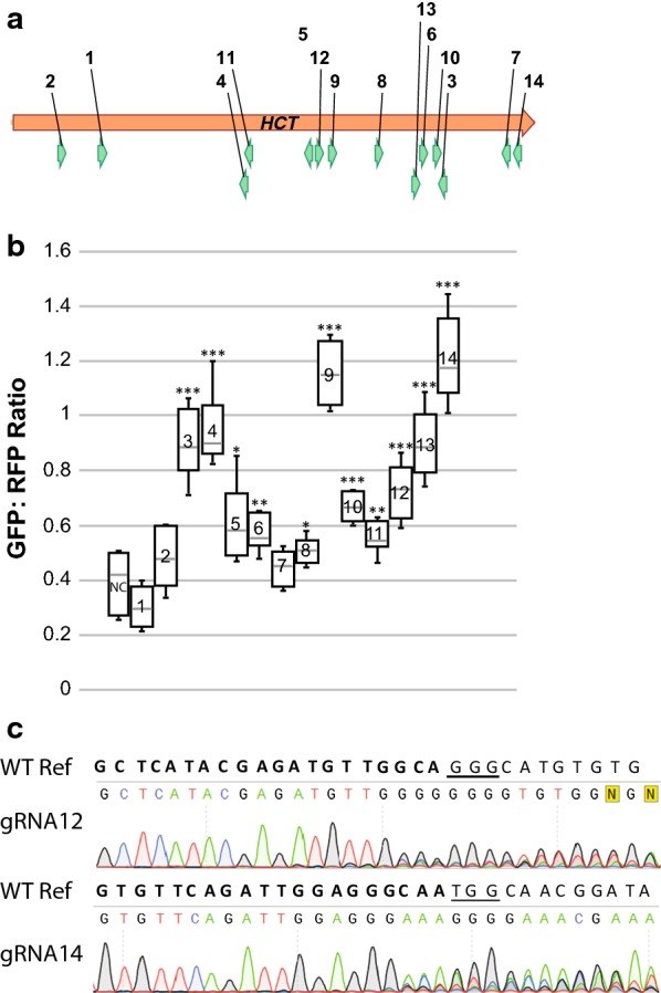 Fig. 2