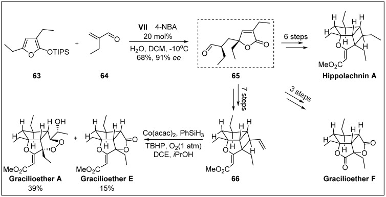 Scheme 20