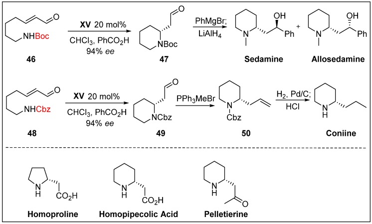 Scheme 13