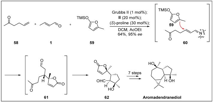 Scheme 19