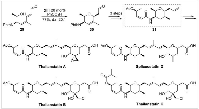 Scheme 9