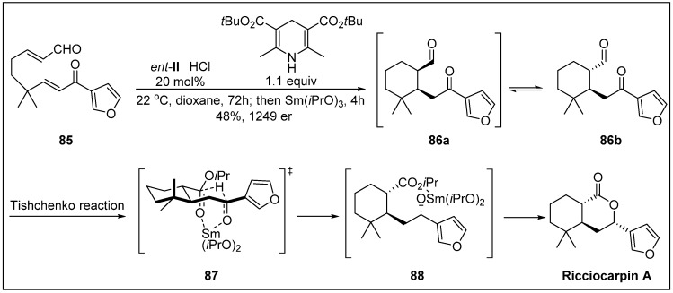 Scheme 25