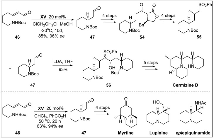 Scheme 15