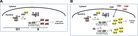 Figure 9.